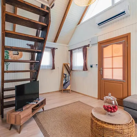 Woody House Bed & Breakfast