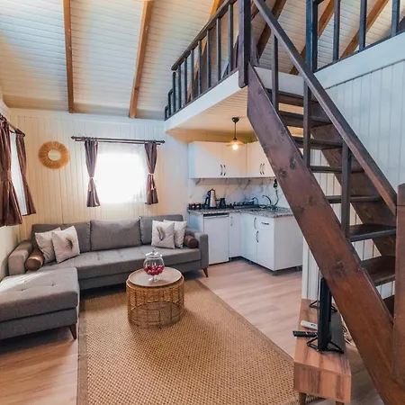 Woody House 4* Sapanca